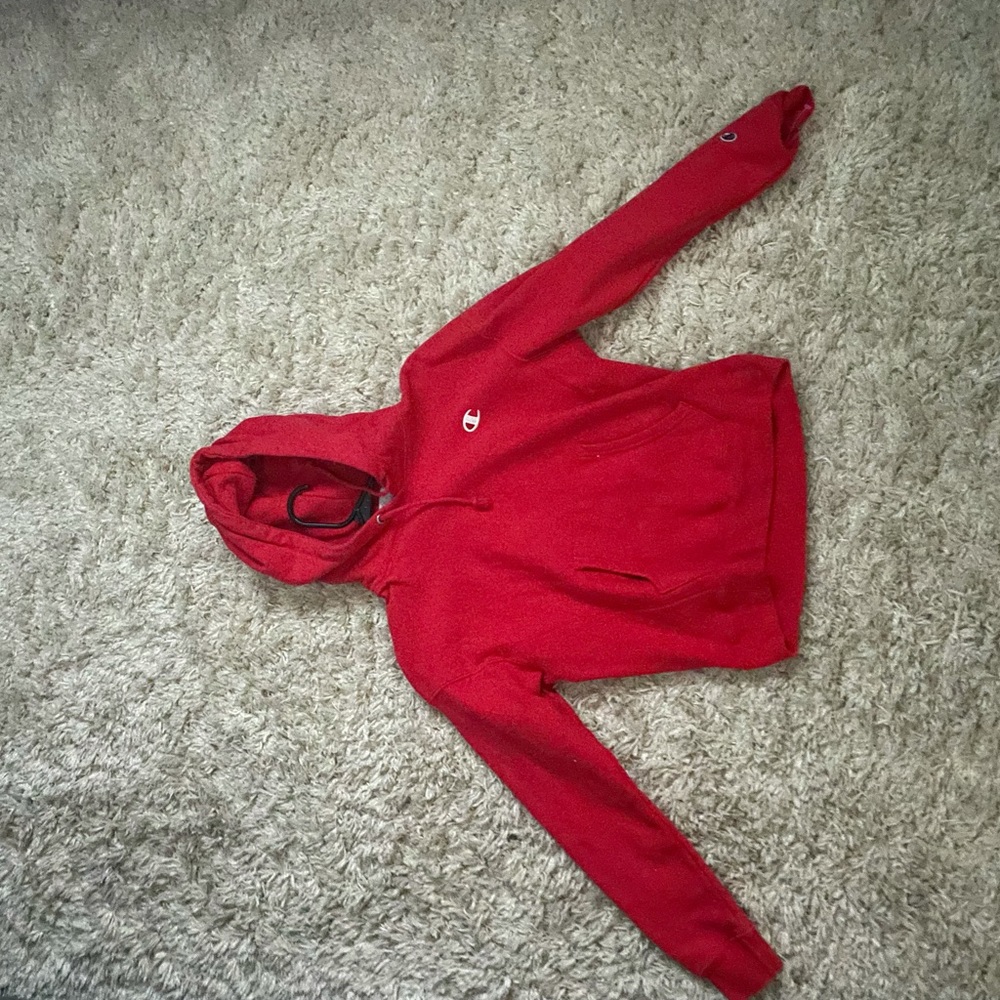 Cropped champion hoodie